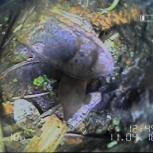 Verstopftes Abwasserrohr im Außenbereich