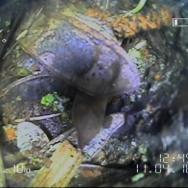 Verstopftes Abwasserrohr im Außenbereich