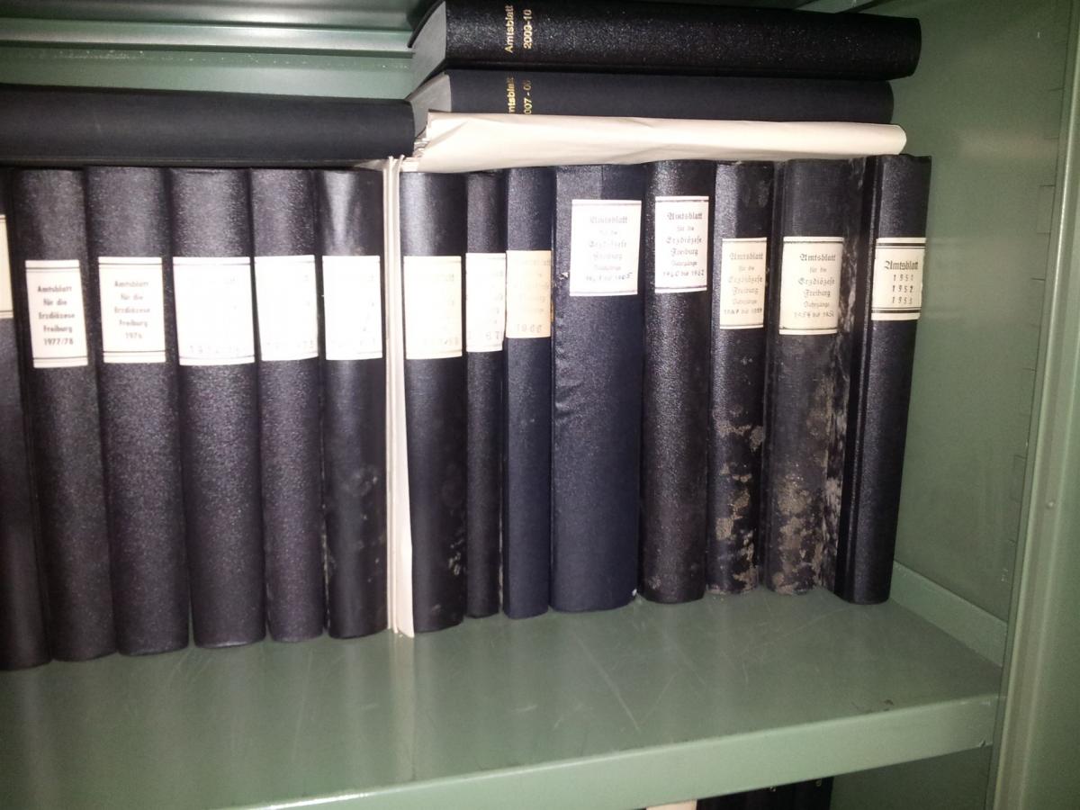 Schimmel an Büchern
