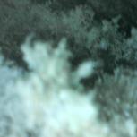 Fettige Ablagerungen in einer Lüftungsleitung