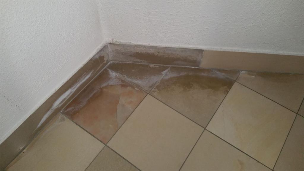 Salze (Salpeter) an Fußboden