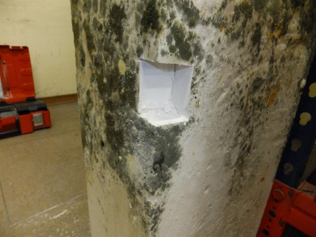 Verschimmelter Gipsblock