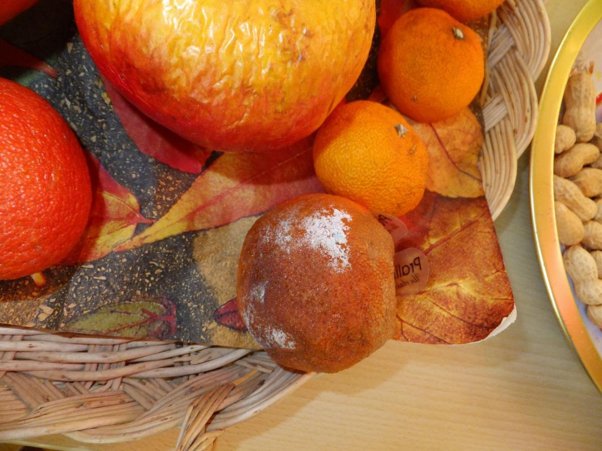 verschimmeltes Obst