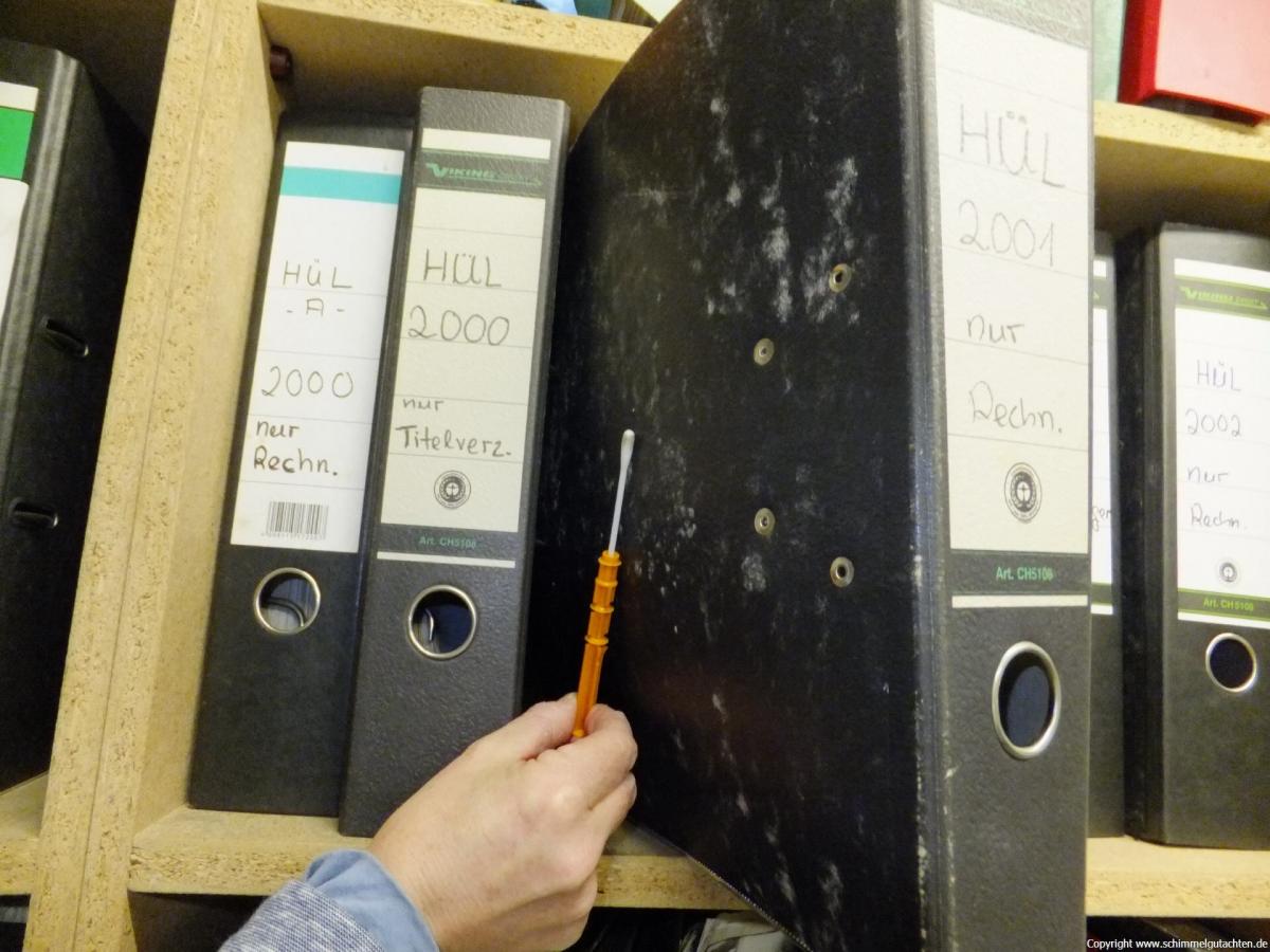 Schimmel im Archiv