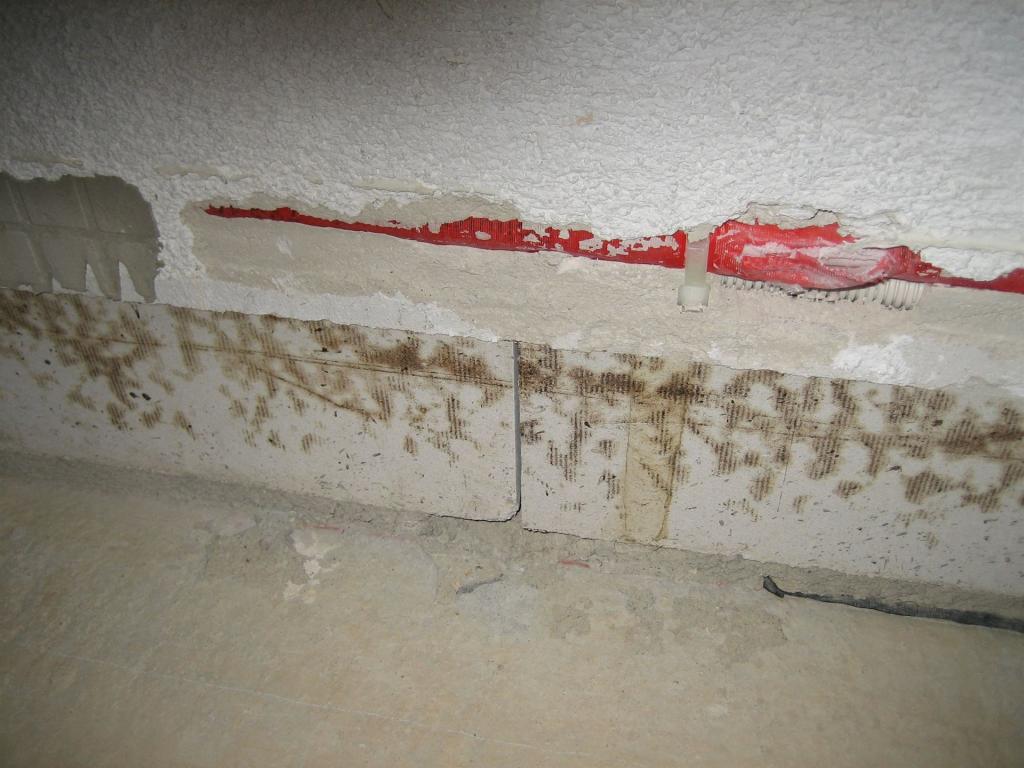 Spuren eines Fäkalwasserschadens