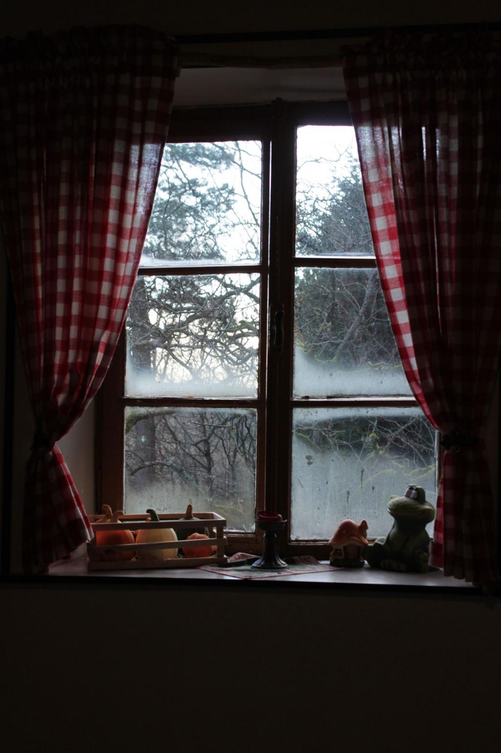 Wasser am Fenster