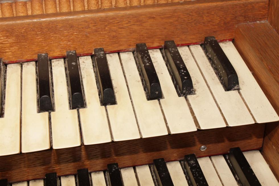 Verschimmelte Klaviatur einer Orgel