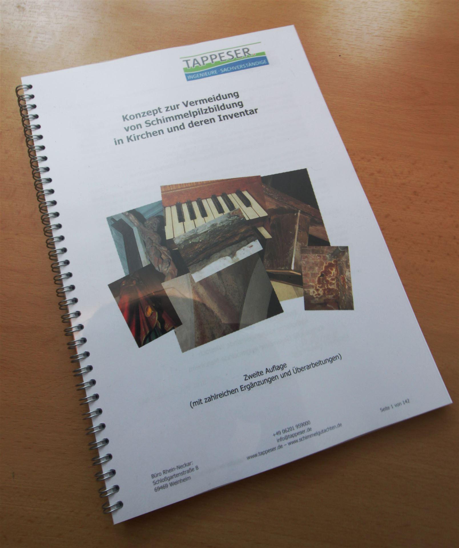Schimmelpilzbildung in Kirchen und an deren Inventar