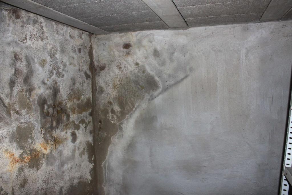 Salpeter an einer Kellerwand