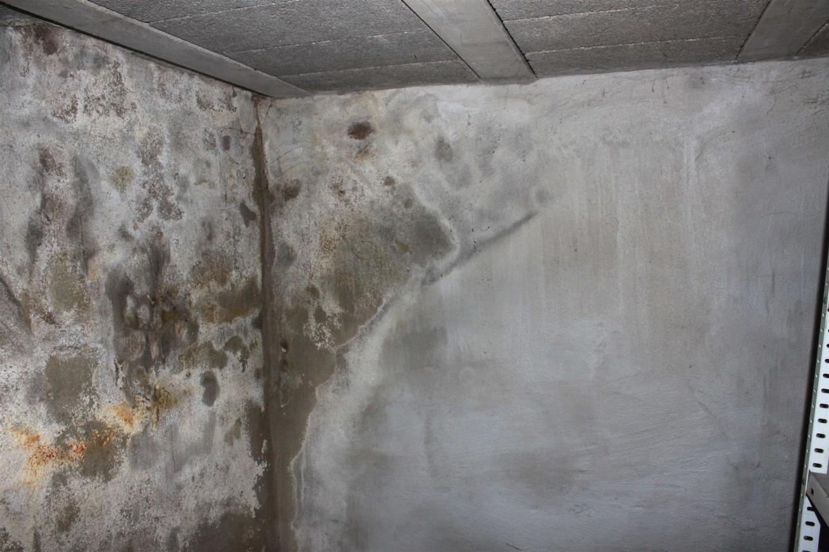 Salpeter an einer Kellerwand