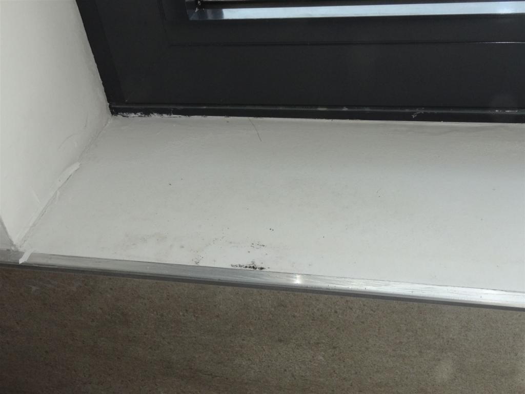 Schimmel hinter Glas