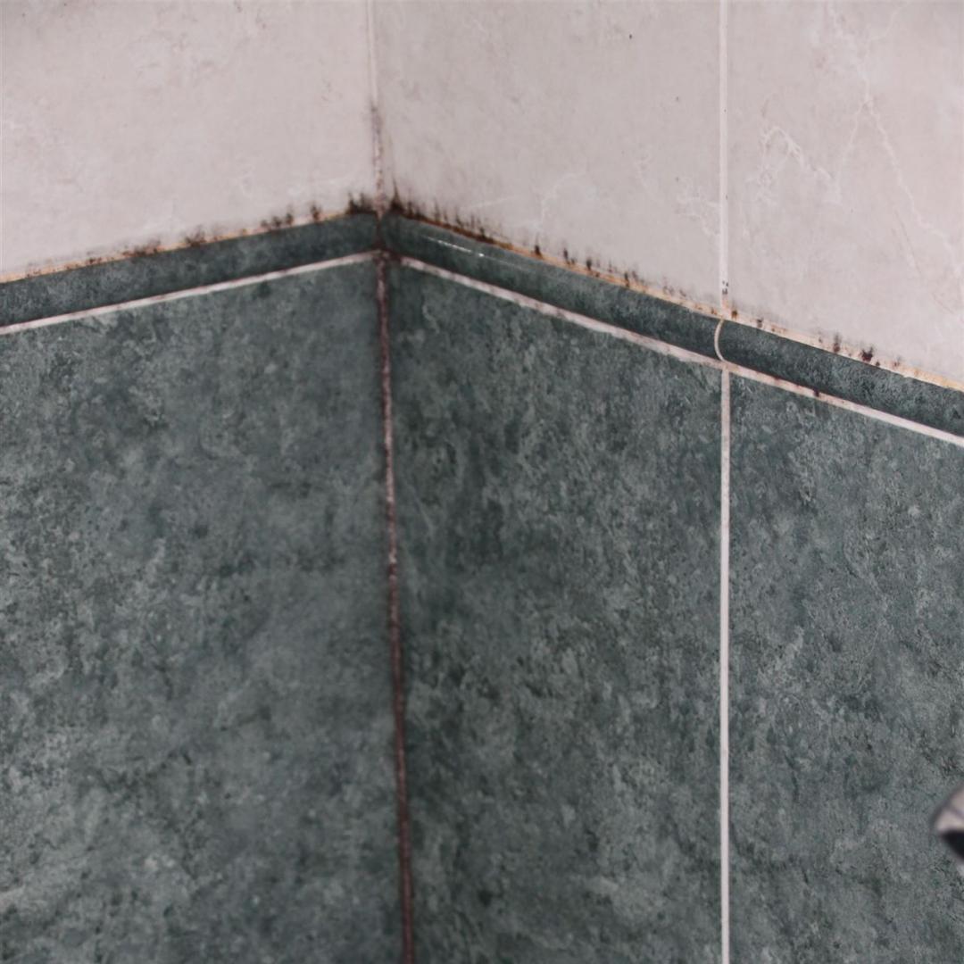 Verschimmelte Fugen zwischen den Fliesen